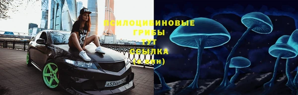 ПСИЛОЦИБИНОВЫЕ ГРИБЫ Алексеевка