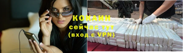 индика Алексин