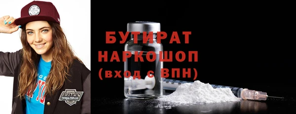 индика Алексин