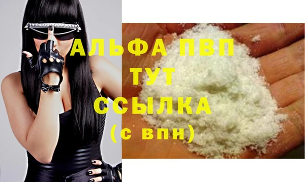 индика Алексин